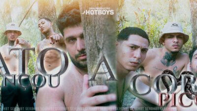 Mato Balançou, A Cobra Picou!