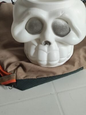 RICARDO ORNELAS HENRIQUE