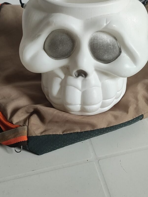 RICARDO ORNELAS HENRIQUE