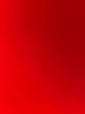 Robson José da Silva paixão