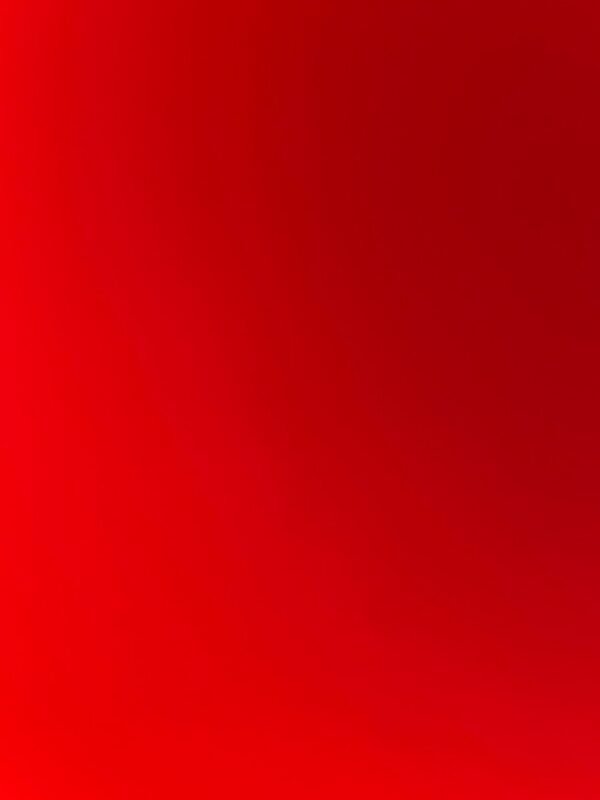 Robson José da Silva paixão