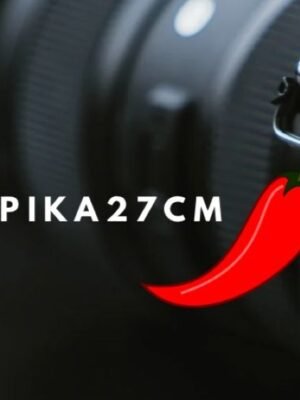 André Luiz de jesus Almeida