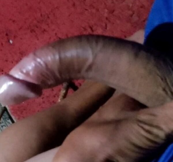 Felipe Souza Ribeiro Nunes