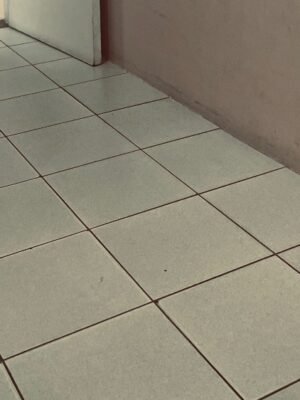 Julio Araújo César