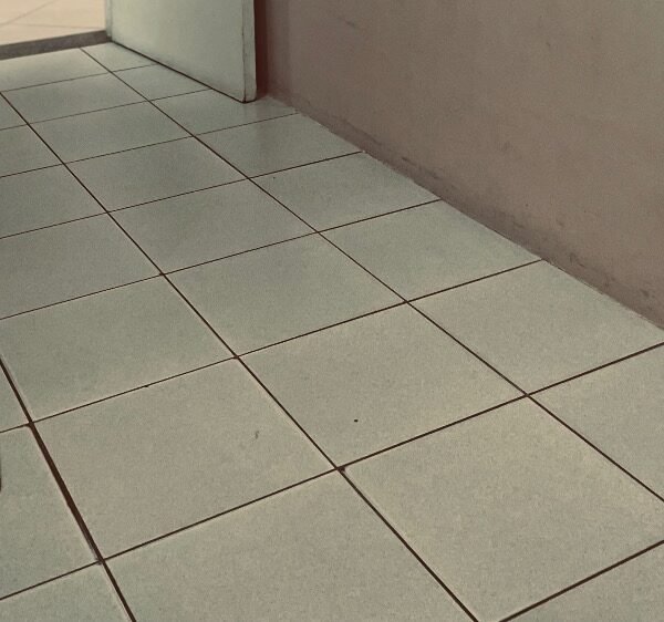 Julio Araújo César