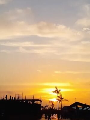 ALEXANDRE MACHADO GOMES