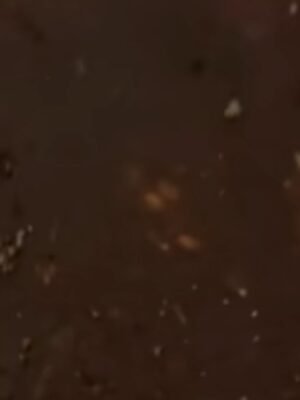 Nicolas de Souza Pereira