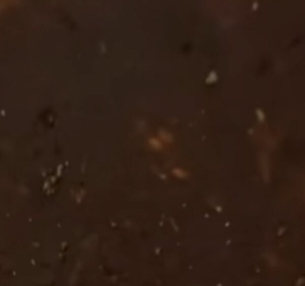 Nicolas de Souza Pereira