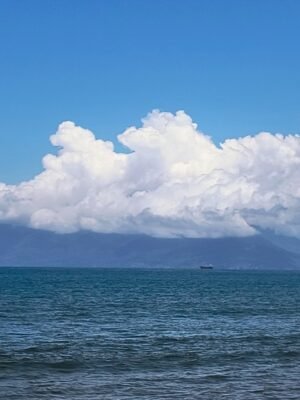 HENRIQUE GUEDES DA SILVA