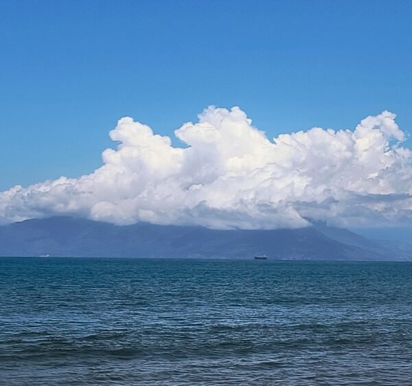 HENRIQUE GUEDES DA SILVA