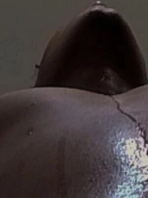 BRUNO RODRIGUES DE ARAUJO