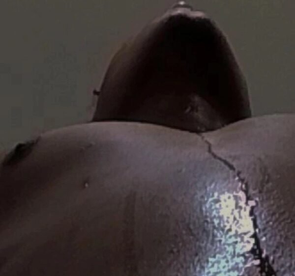 BRUNO RODRIGUES DE ARAUJO